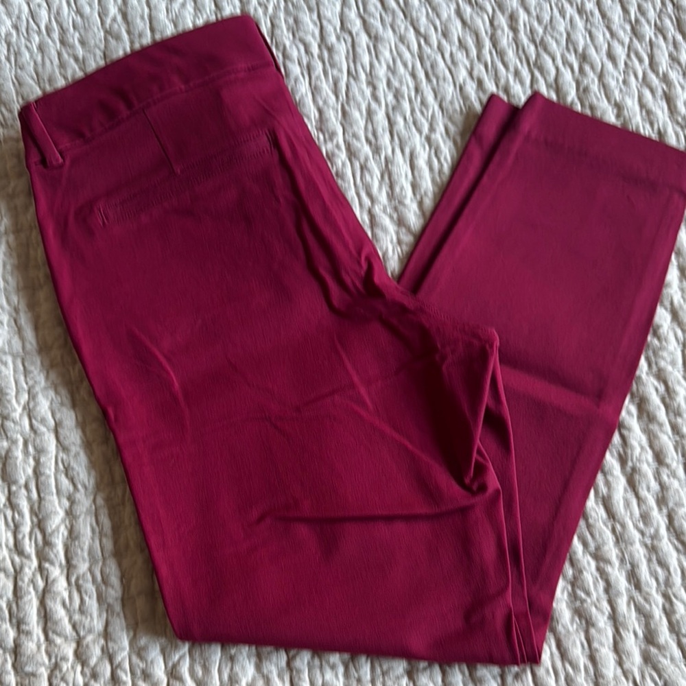 Stylish Burgundy Pants